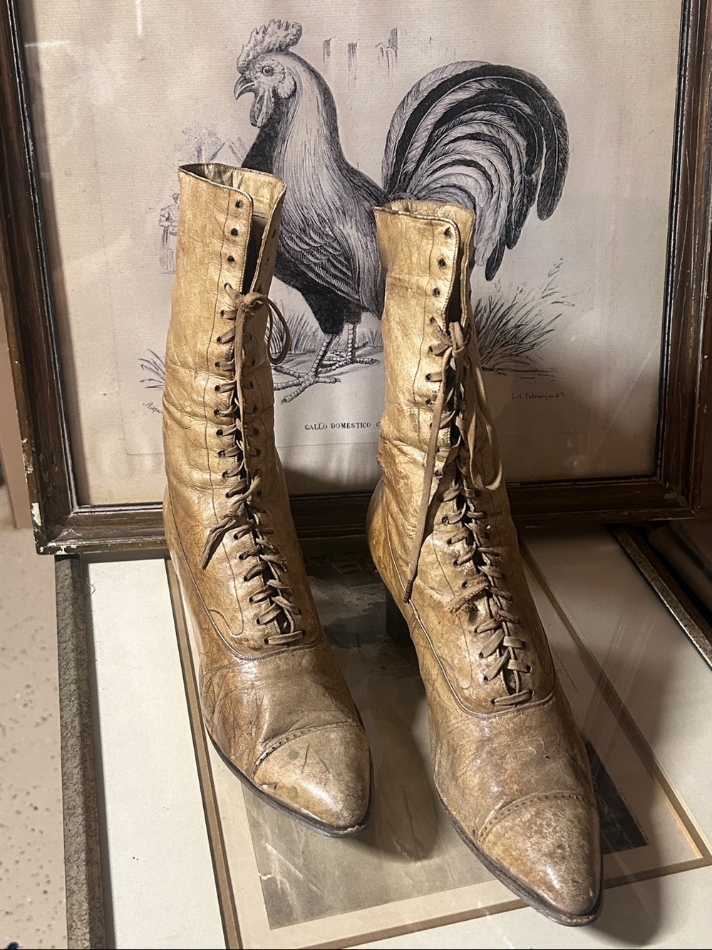 1880 vintage shoes, great decoration